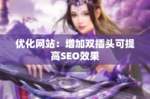 优化网站：增加双插头可提高SEO效果