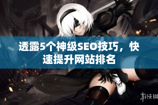 透露5个神级SEO技巧，快速提升网站排名