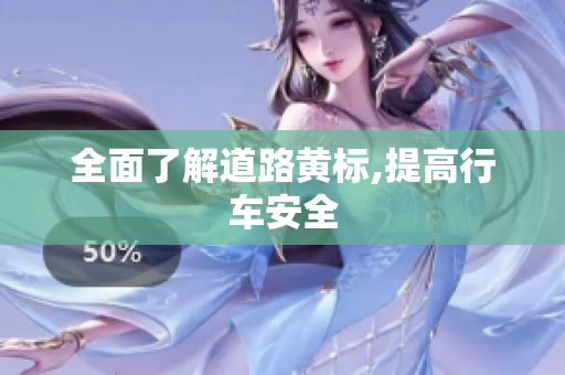 全面了解道路黄标,提高行车安全