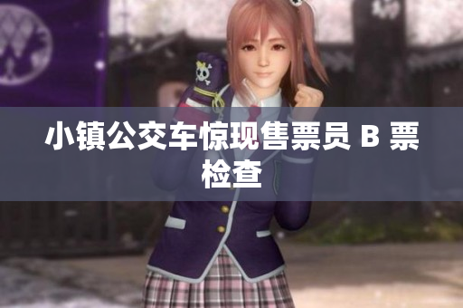 小镇公交车惊现售票员 B 票检查