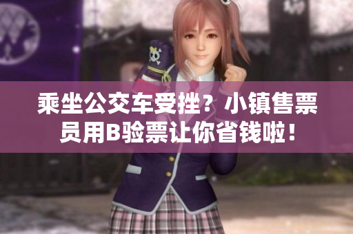 乘坐公交车受挫？小镇售票员用B验票让你省钱啦！