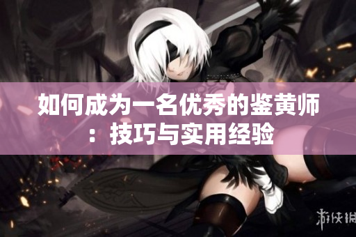 如何成为一名优秀的鉴黄师：技巧与实用经验