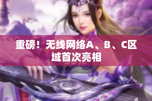 重磅！无线网络A、B、C区域首次亮相