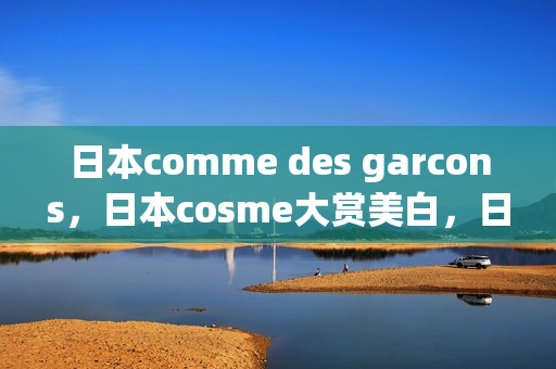 日本comme des garcons，日本cosme大赏美白，日本windowsphone489