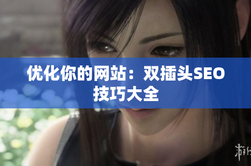 优化你的网站：双插头SEO技巧大全