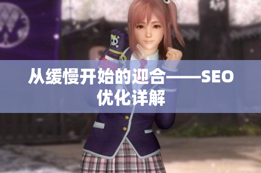 从缓慢开始的迎合——SEO优化详解
