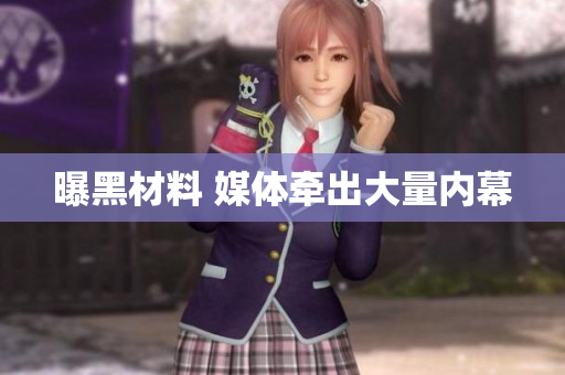 曝黑材料 媒体牵出大量内幕