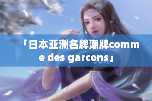 「日本亚洲名牌潮牌comme des garcons」