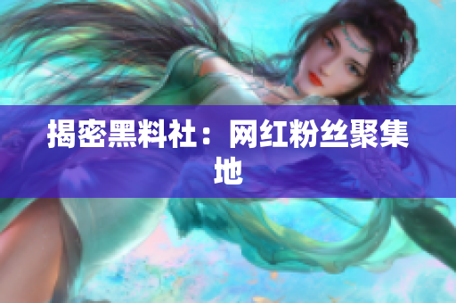 揭密黑料社：网红粉丝聚集地