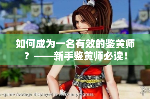 如何成为一名有效的鉴黄师？——新手鉴黄师必读！