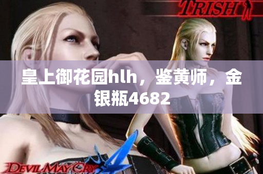 皇上御花园hlh，鉴黄师，金银瓶4682