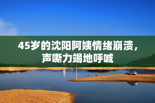 45岁的沈阳阿姨情绪崩溃，声嘶力竭地呼喊