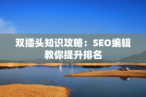 双插头知识攻略：SEO编辑教你提升排名
