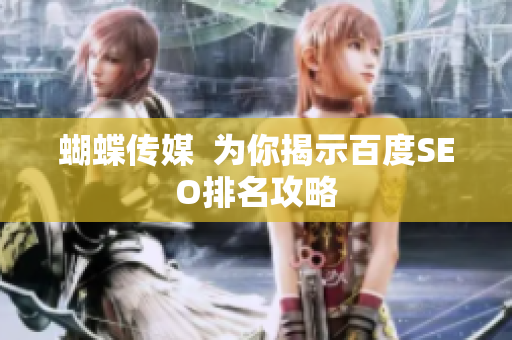 蝴蝶传媒  为你揭示百度SEO排名攻略