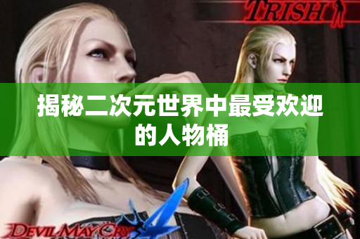 揭秘二次元世界中最受欢迎的人物桶