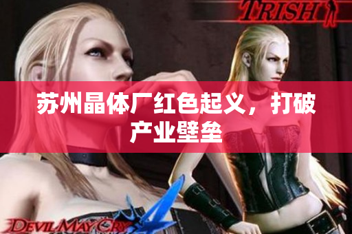 苏州晶体厂红色起义，打破产业壁垒