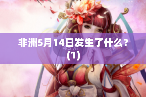 非洲5月14日发生了什么？(1)