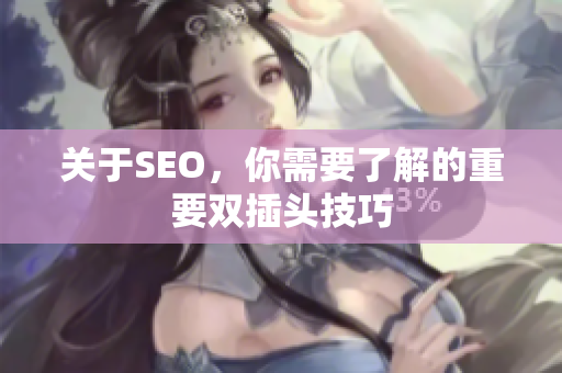 关于SEO，你需要了解的重要双插头技巧