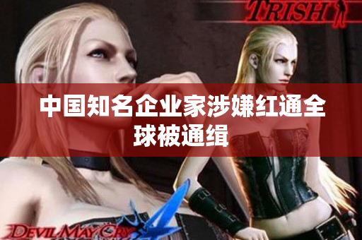 中国知名企业家涉嫌红通全球被通缉