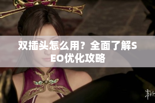 双插头怎么用？全面了解SEO优化攻略