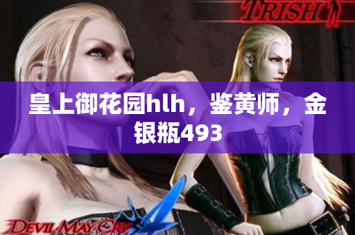 皇上御花园hlh，鉴黄师，金银瓶493