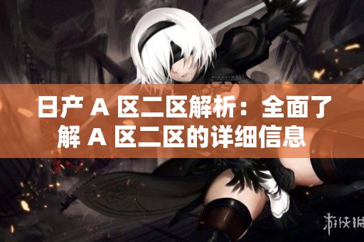 日产 A 区二区解析：全面了解 A 区二区的详细信息