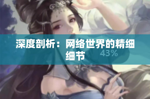 深度剖析：网络世界的精细细节