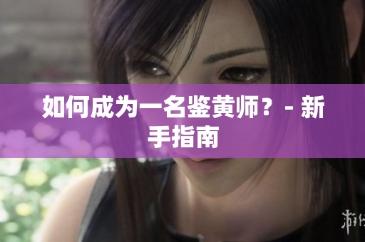 如何成为一名鉴黄师？- 新手指南