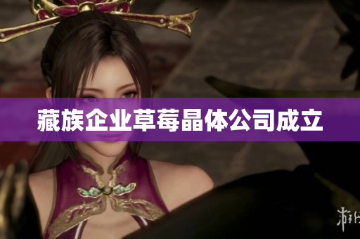 藏族企业草莓晶体公司成立
