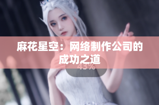 麻花星空：网络制作公司的成功之道