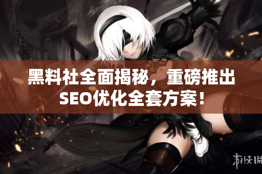 黑料社全面揭秘，重磅推出SEO优化全套方案！