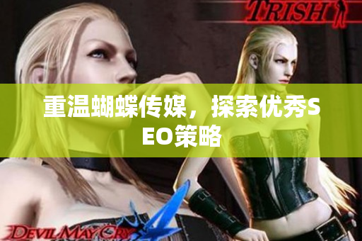 重温蝴蝶传媒，探索优秀SEO策略