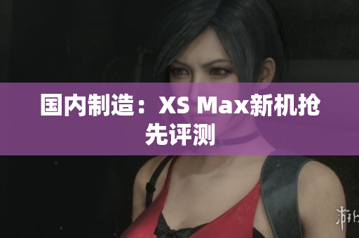 国内制造：XS Max新机抢先评测