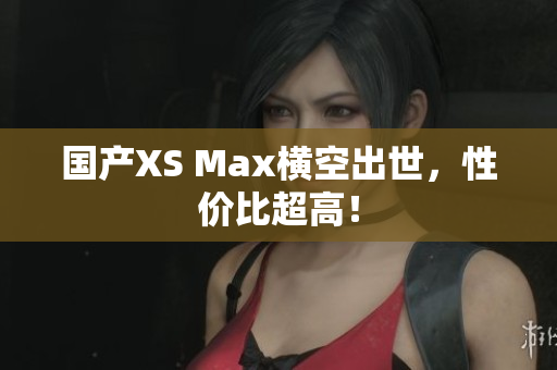 国产XS Max横空出世，性价比超高！