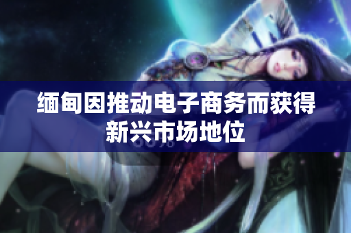 缅甸因推动电子商务而获得新兴市场地位