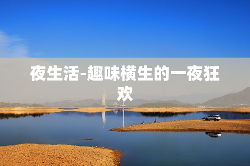 夜生活-趣味横生的一夜狂欢