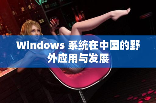 Windows 系统在中国的野外应用与发展