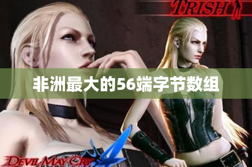 非洲最大的56端字节数组