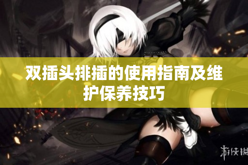 双插头排插的使用指南及维护保养技巧