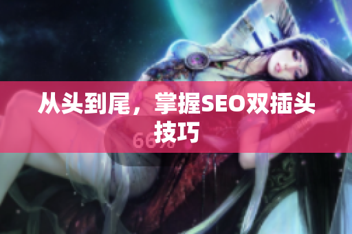 从头到尾，掌握SEO双插头技巧