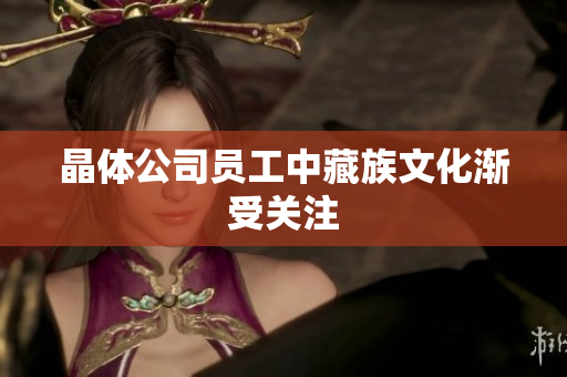 晶体公司员工中藏族文化渐受关注