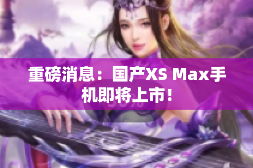重磅消息：国产XS Max手机即将上市！