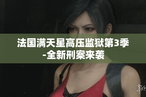 法国满天星高压监狱第3季-全新刑案来袭