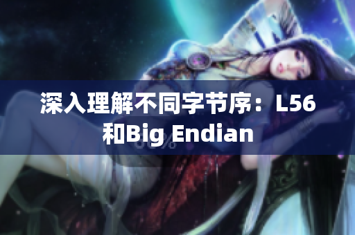 深入理解不同字节序：L56和Big Endian