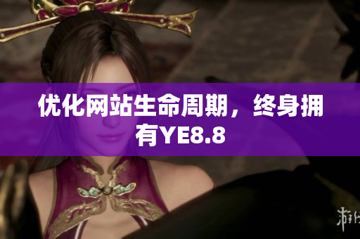 优化网站生命周期，终身拥有YE8.8