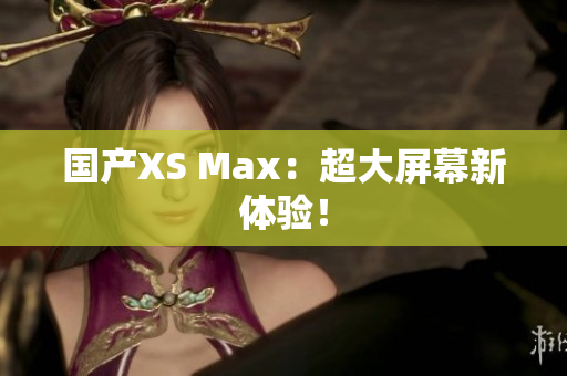 国产XS Max：超大屏幕新体验！