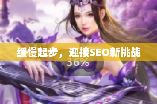 缓慢起步，迎接SEO新挑战