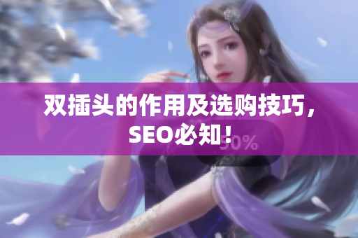 双插头的作用及选购技巧，SEO必知！