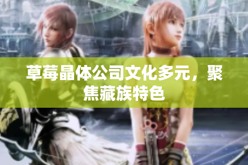 草莓晶体公司文化多元，聚焦藏族特色