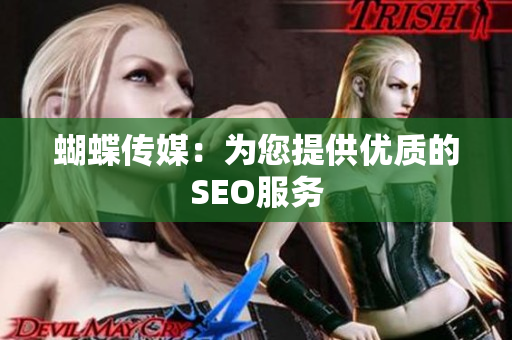 蝴蝶传媒：为您提供优质的SEO服务